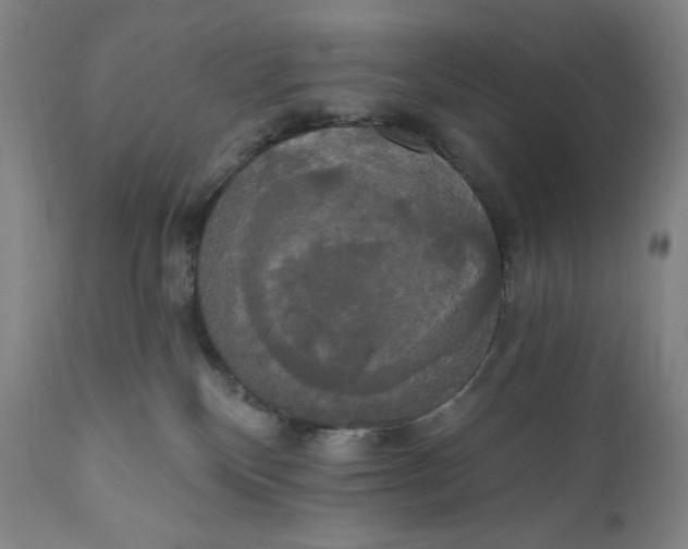 X0000111020136200907101349