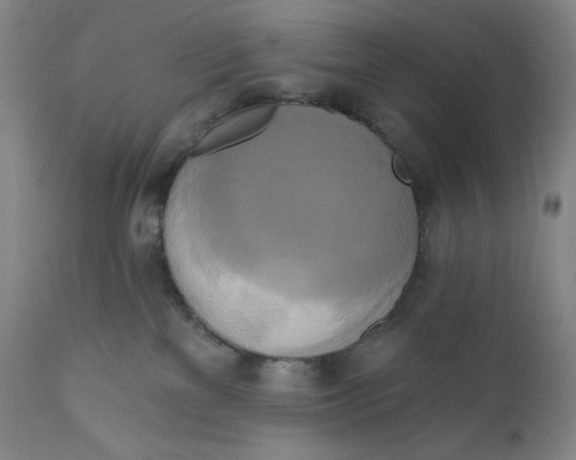 X0000111020137200907101349