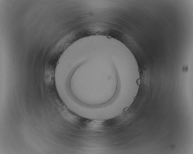 X0000111020138200907101349