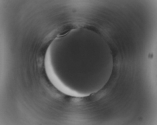 X0000111020139200907101349