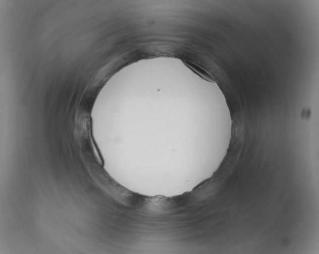 X0000111020141200907101349
