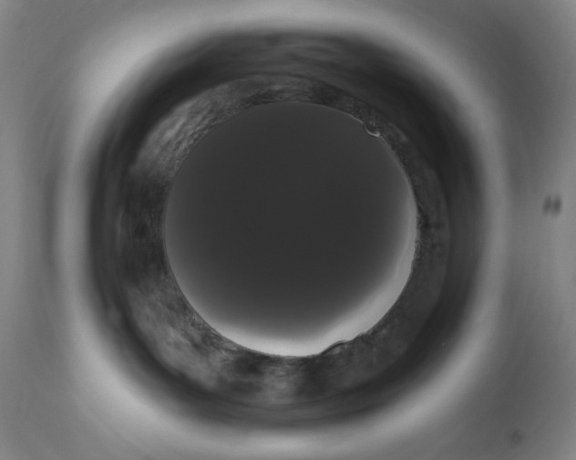 X0000111020143200907101349