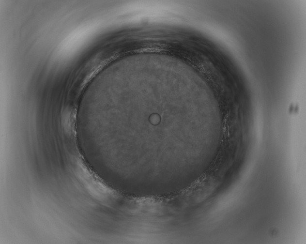 X0000111020146200907101348