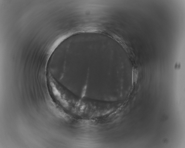 X0000111020147200907101348
