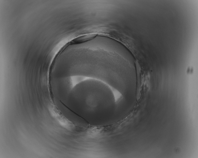 X0000111020148200907101348