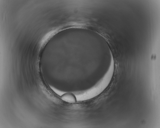 X0000111020149200907101348