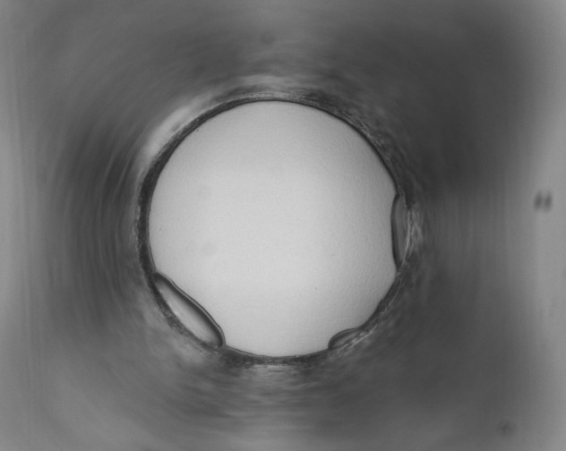 X0000111020150200907101348