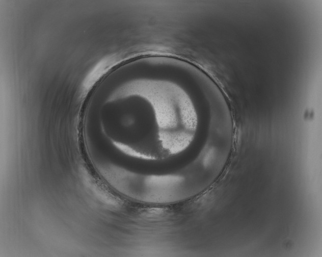 X0000111020151200907101348