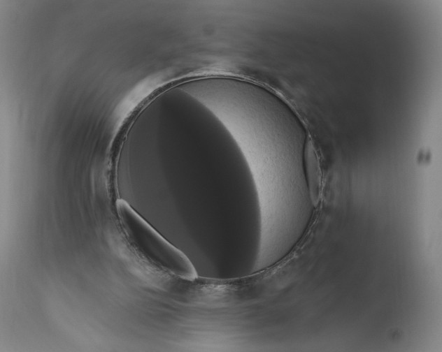 X0000111020152200907101348