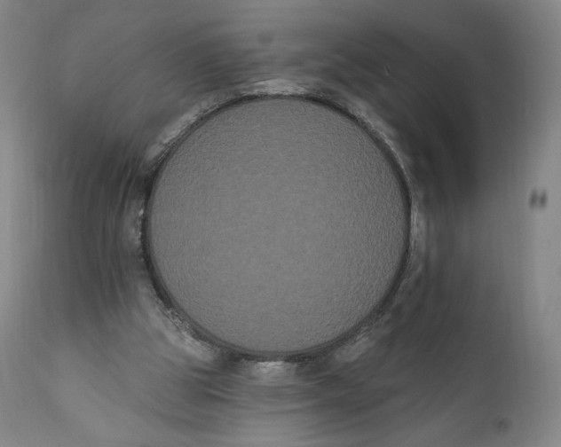 X0000111020153200907101348