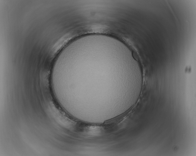 X0000111020154200907101348