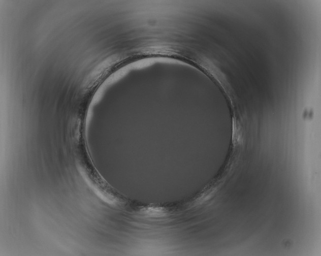 X0000111020157200907101348
