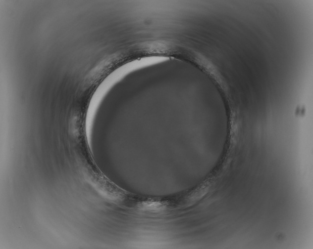 X0000111020161200907101348