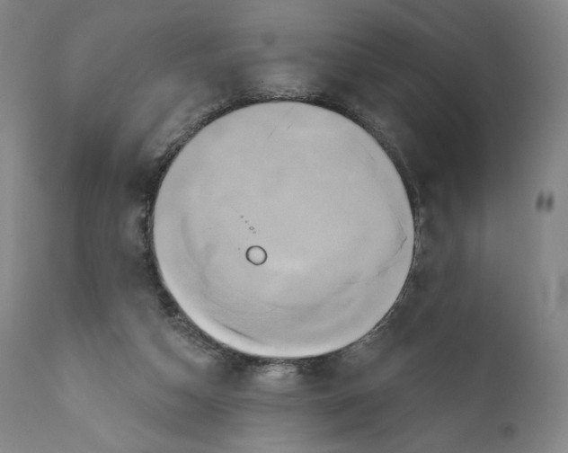 X0000111020162200907101348
