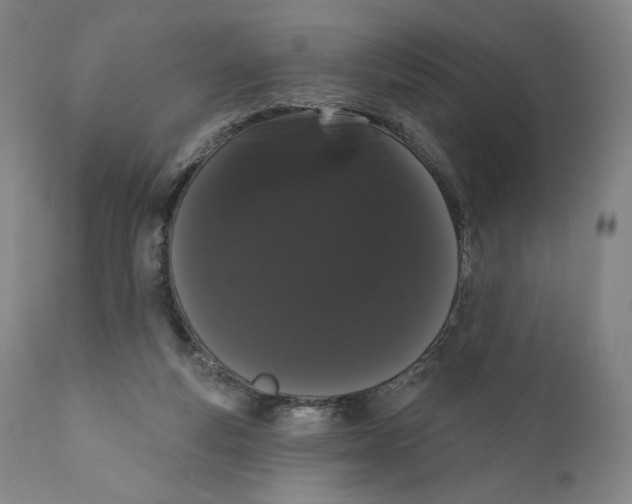 X0000111020163200907101348