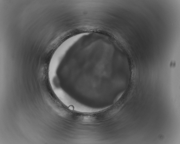 X0000111020165200907101348
