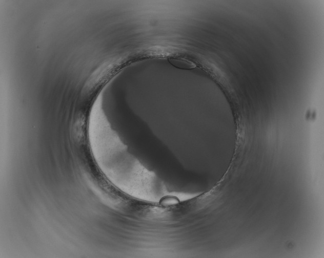 X0000111020166200907101348
