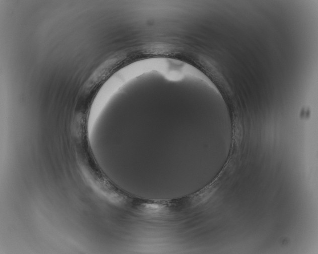 X0000111020167200907101348