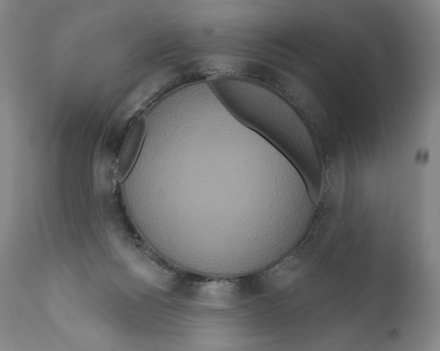 X0000111020168200907101348