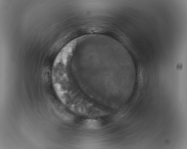 X0000111020169200907101348