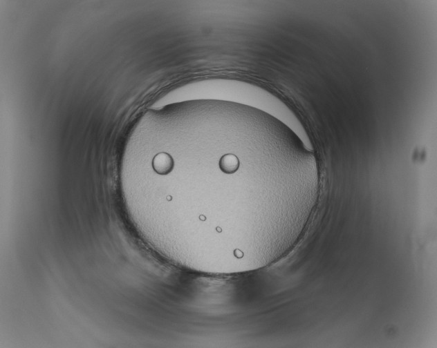 X0000111020170200907101348