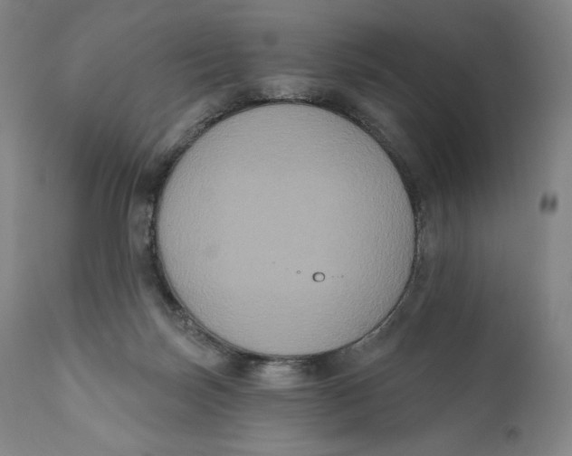 X0000111020171200907101348