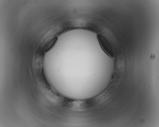 X0000111020172200907101348