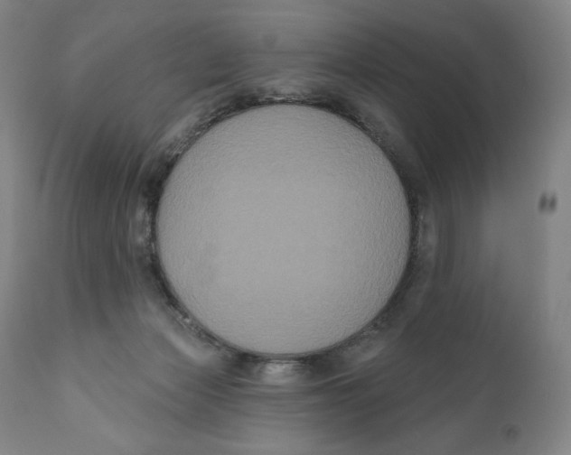 X0000111020173200907101348