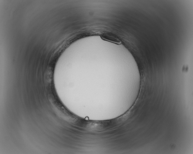 X0000111020174200907101348
