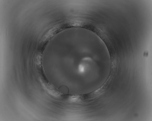 X0000111020175200907101348