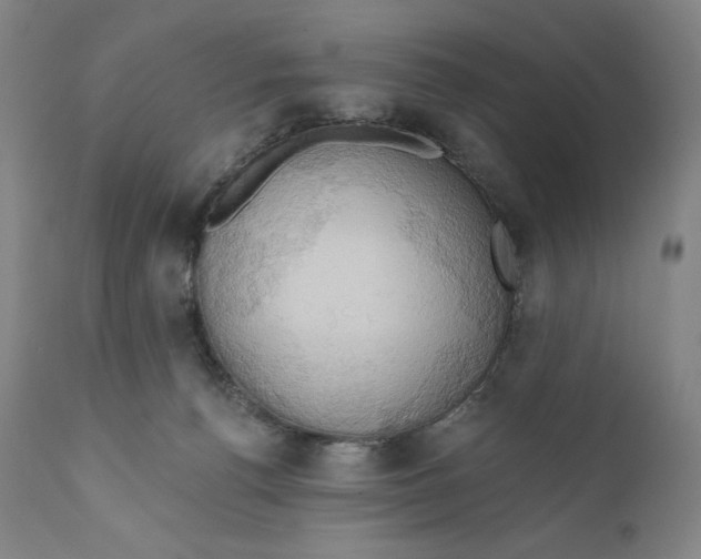 X0000111020176200907101348