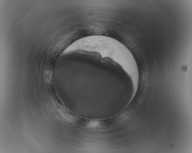 X0000111020177200907101348
