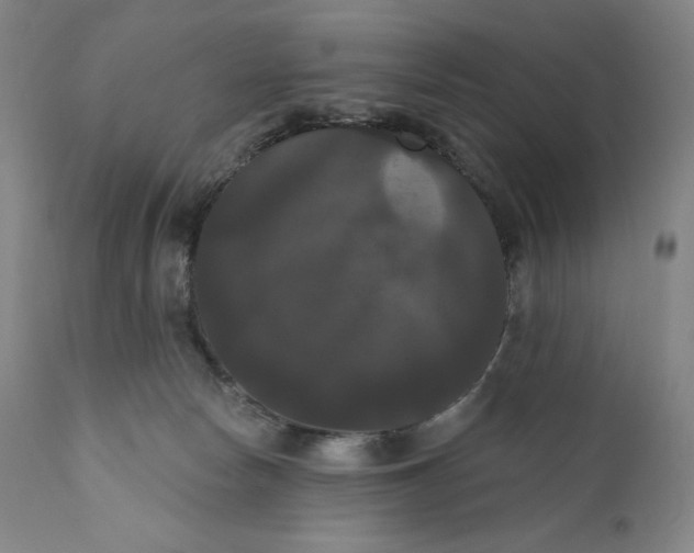 X0000111020178200907101348