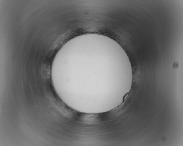 X0000111020179200907101348