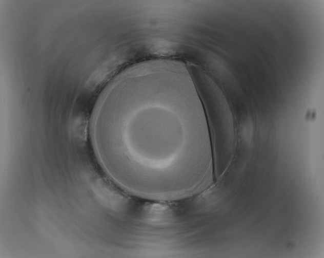 X0000111020180200907101348