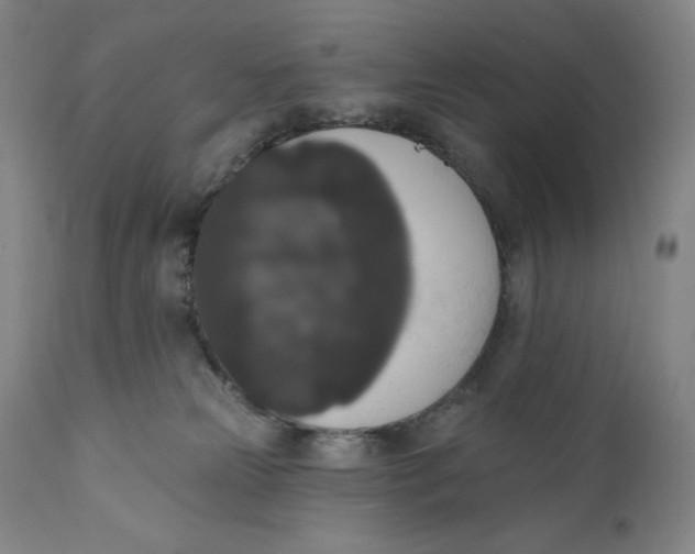 X0000111020181200907101348