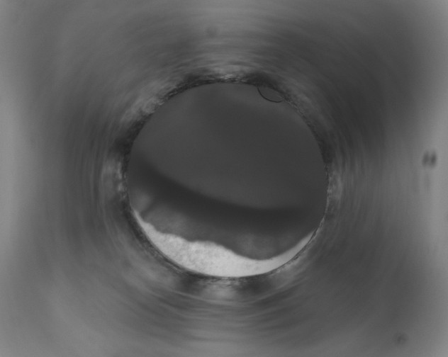 X0000111020182200907101348