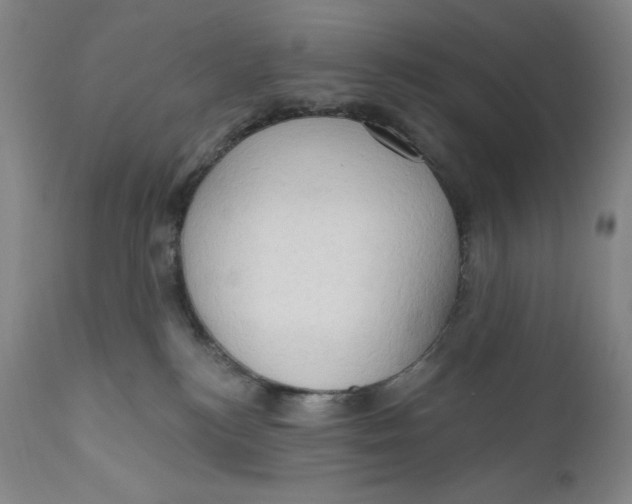 X0000111020184200907101348