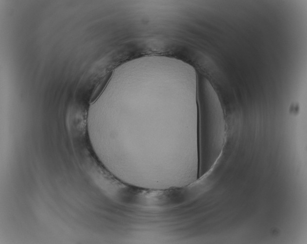X0000111020186200907101348