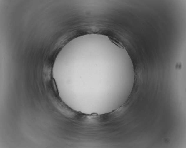 X0000111020188200907101348