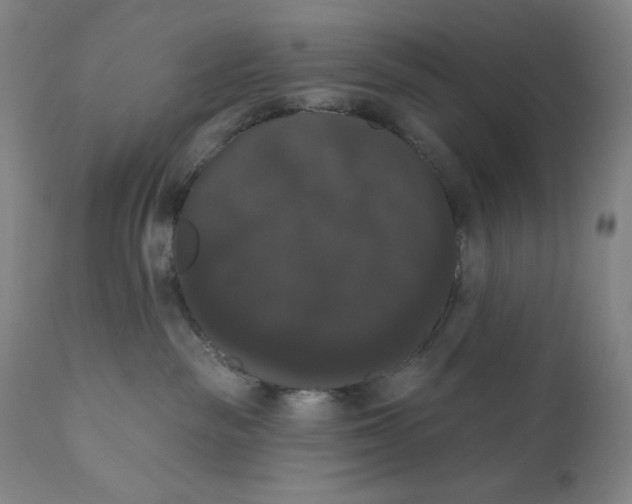 X0000111020189200907101348