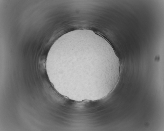 X0000111020190200907101348