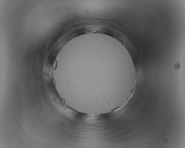 X0000111020191200907101348