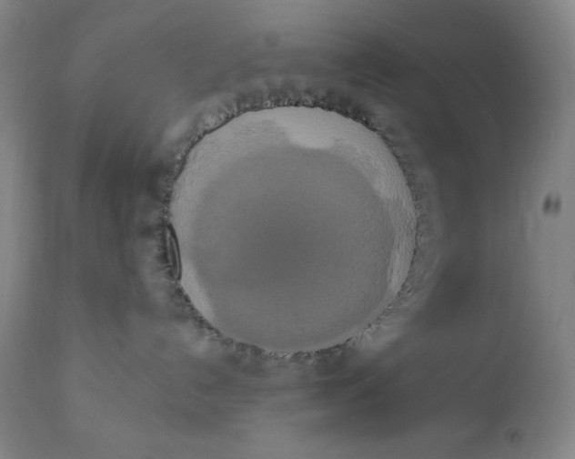 X0000111020192200907101348