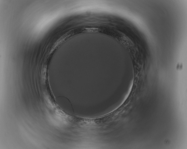 X0000111020194200907101348