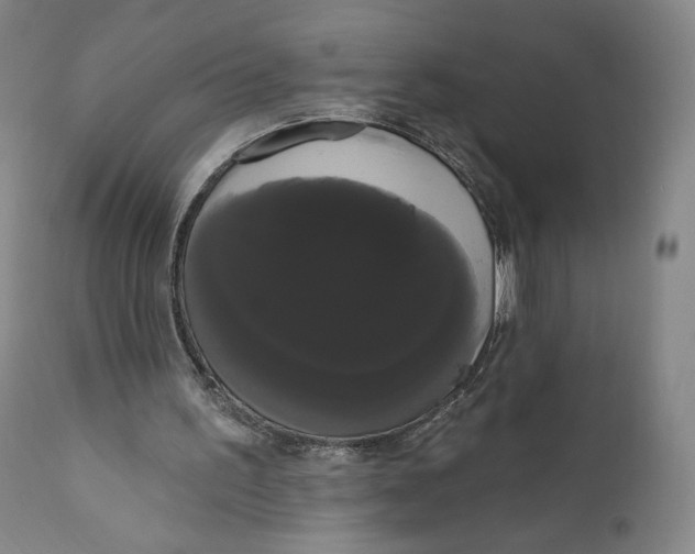 X0000111020195200907101348