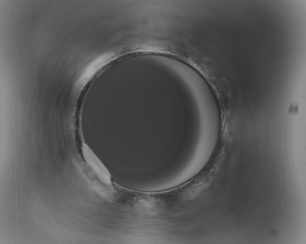 X0000111020199200907101348