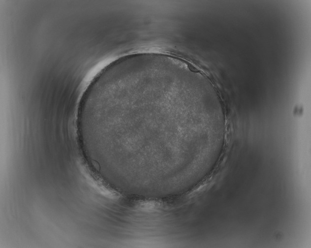 X0000111020200200907101348