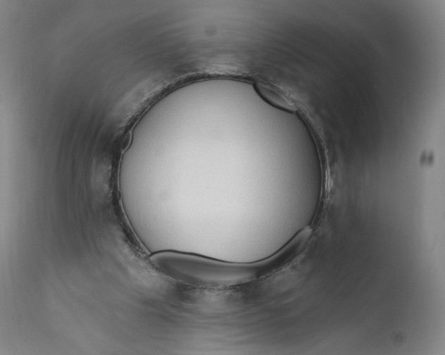 X0000111020201200907101348