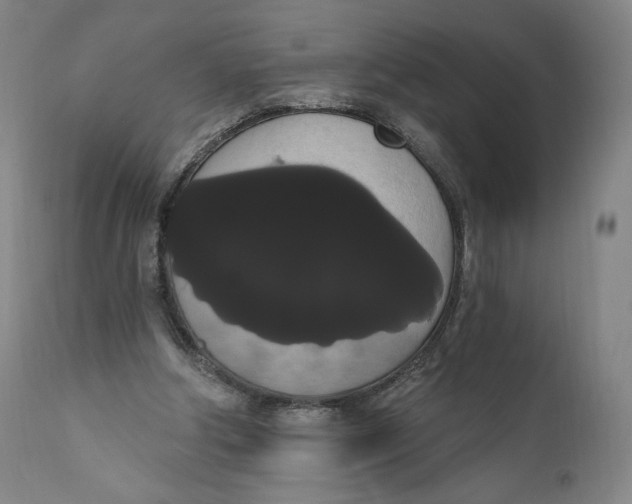 X0000111020202200907101348